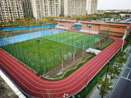 匯聚體育力量，共筑健康青浦——青浦區全民健身體育組織年度工作盤點